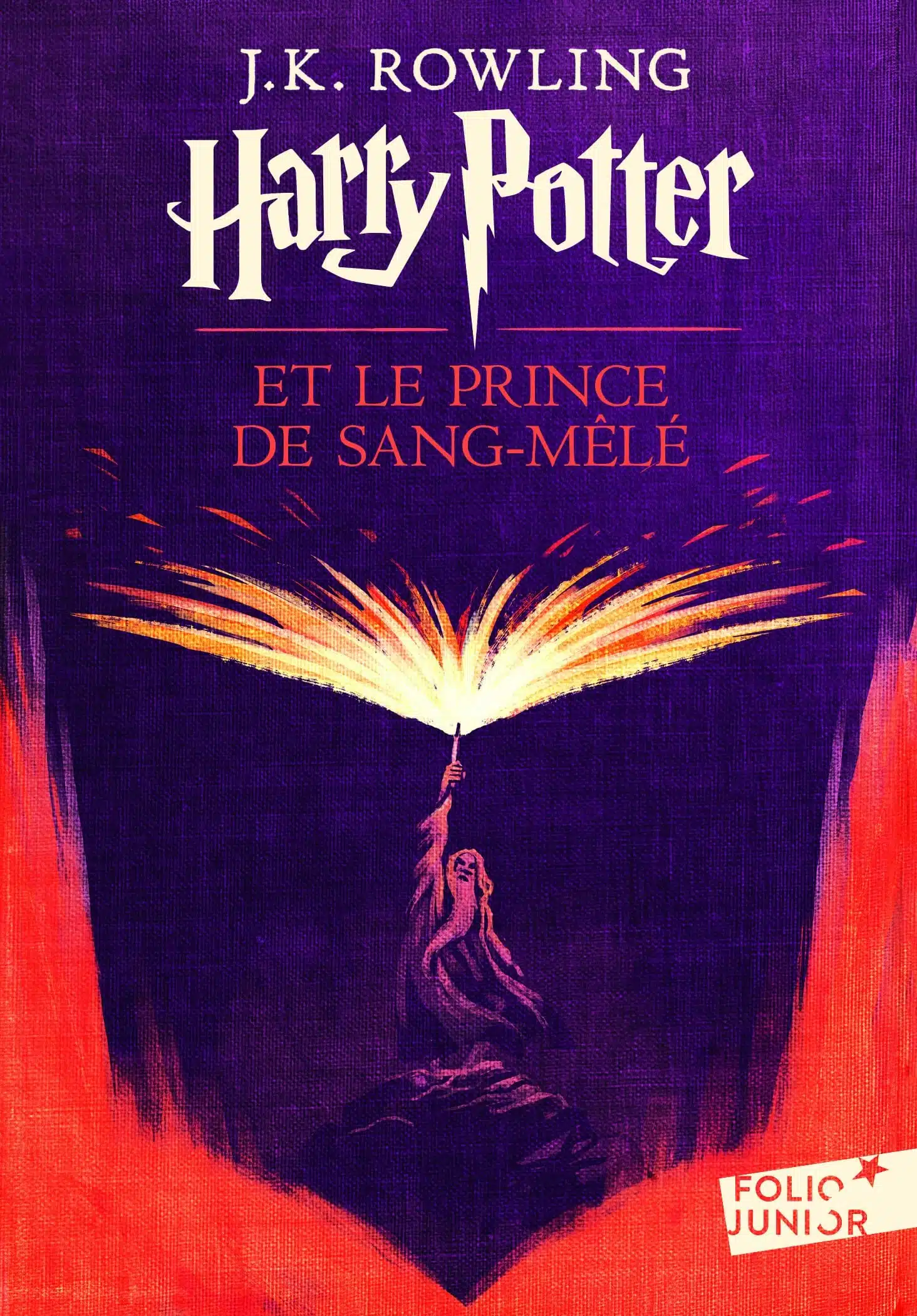 Harry Potter, VI : Harry Potter et le Prince de Sang-Mêlé