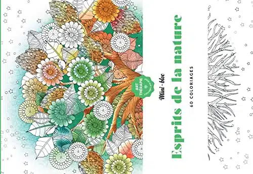 Anti Stress Mini-bloc d'Art-thérapie Esprits de la nature
