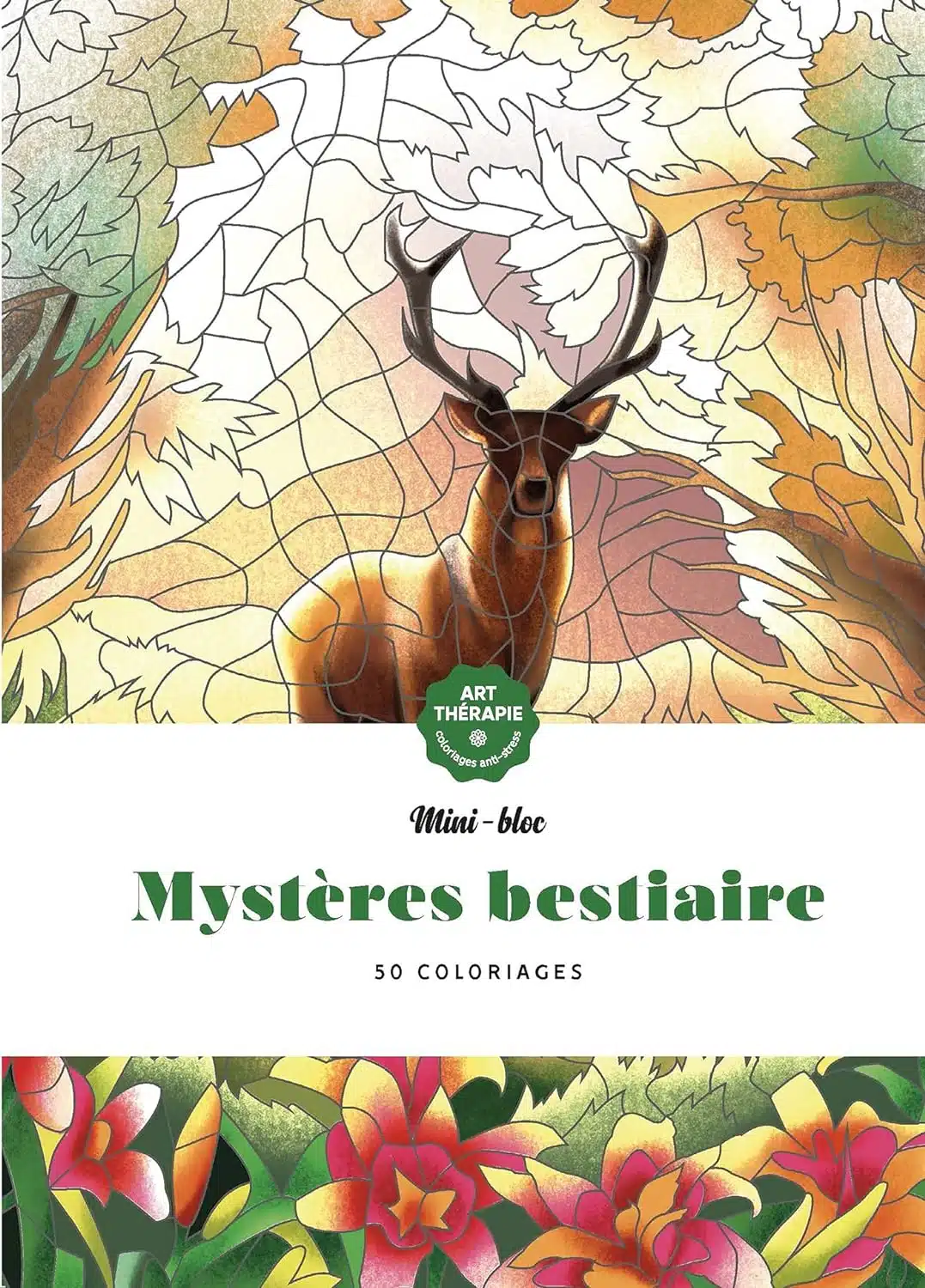 Anti Stress Mini-blocs d'Art-thérapie Mystères Bestiaire
