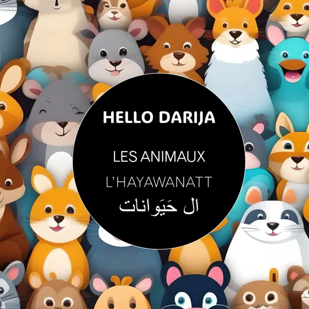 Hello Darija L' HAYAWANATT - Les animaux
